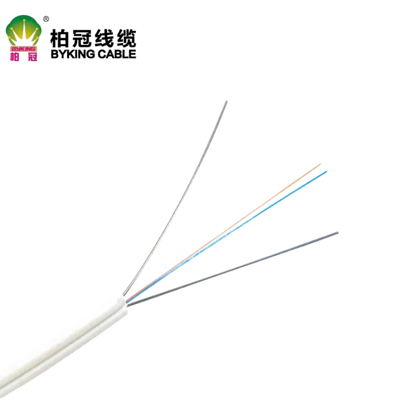 GJXH  室内 2芯2钢丝 皮线光纤
