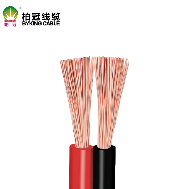 RVB (2-Core Parallel Twin Wire)  黑红平行电子线